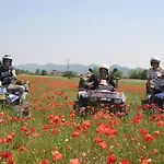 Montegrappa Dream Crespano del Grappa